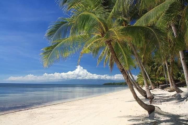 Diamond de Siquijor Beach House Extérieur photo